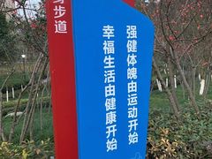 -龙头寺公园