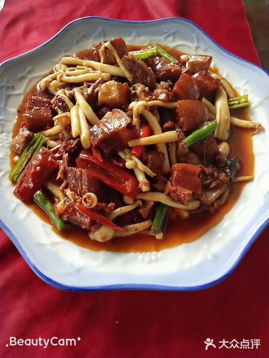 蒲江县成佳镇佳和苑农家乐-红烧肉-菜-红烧肉图片-蒲江县美食-大众