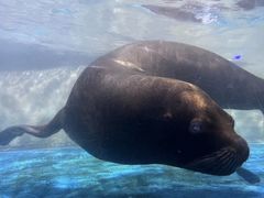 -常州海昌海洋探索馆
