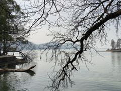 -东湖落雁景区