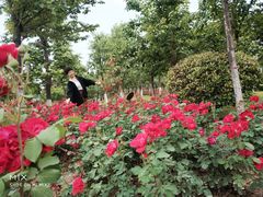 -西安汉城湖景区