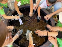 -宾果蒙特梭利托育儿童之家幼儿园(爱琴海店)