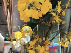-京华烟云·北京烤鸭(领展购物广场·中关村店)
