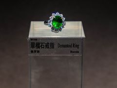 -中国地质博物馆