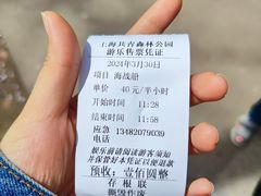 -上海共青森林公园