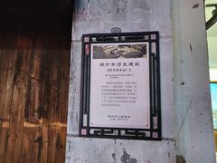 -野荸荠