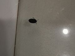 -孟记粥铺·家常菜·烧烤·粥(亚运村店)