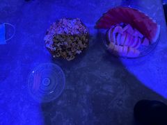 -骑士KTV(红谷滩万达店)
