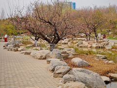 -大望京公园