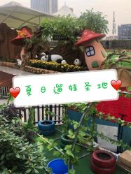 -可可天空农场(中大店)