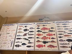 -镹·鱼料理  国产鱼使用店