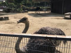 -上方山森林动物世界