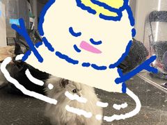 -必胜客(玫瑰坊店)