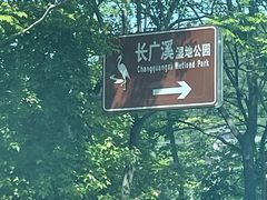 -长广溪湿地公园