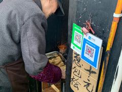 -孙奶奶葱包桧