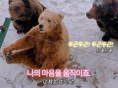 -新疆天山野生动物园