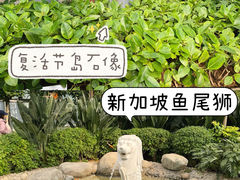 -南宫五洲植物乐园