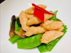 -觅唐MITONG(鸟巢店)