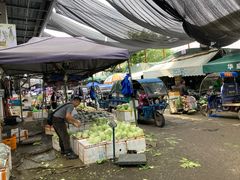 -华威西营里农产品批发市场