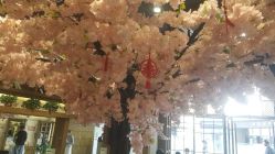 -简影造型·自选烫染接发salon