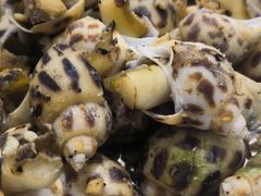 盐焗花螺-荔城生鲜盛宴(番禺旗舰店)
