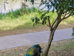 -宁波杭州湾国家湿地公园