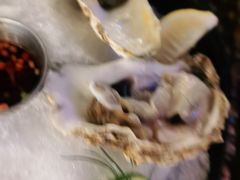 -haxnbauer海森堡德国餐厅(深圳coco店)