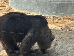 -秦皇岛野生动物园