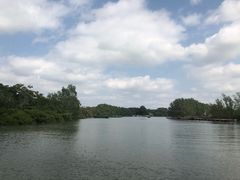 -东寨港红树林旅游区