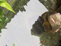 -水岸居湖景农家乐·阳澄湖大闸蟹