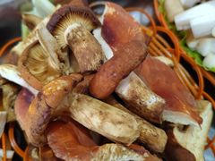 -佳缘野生菌食府