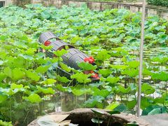 -绍兴鉴湖君澜大酒店