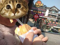 -台湾味正点车轮饼可丽饼(南禅寺店)
