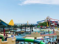 -秦皇岛乐岛海洋王国