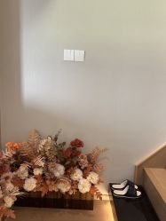 -Mo·Mo Nail 美甲美睫