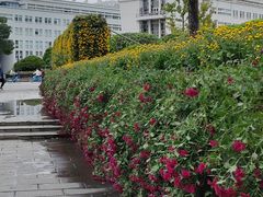 -上海大学(宝山校区)
