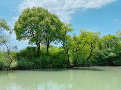 -西溪国家湿地公园