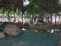 -陕西自然博物馆