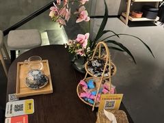 -施奈儿.洗头頭療.按摩SPA.采耳(上梅林店)