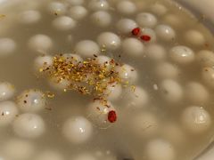 -碧丽宫大酒店(召稼楼店)