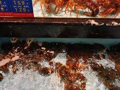 -尚海豆捞(乐虹坊店)