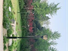 -玲珑塔公园