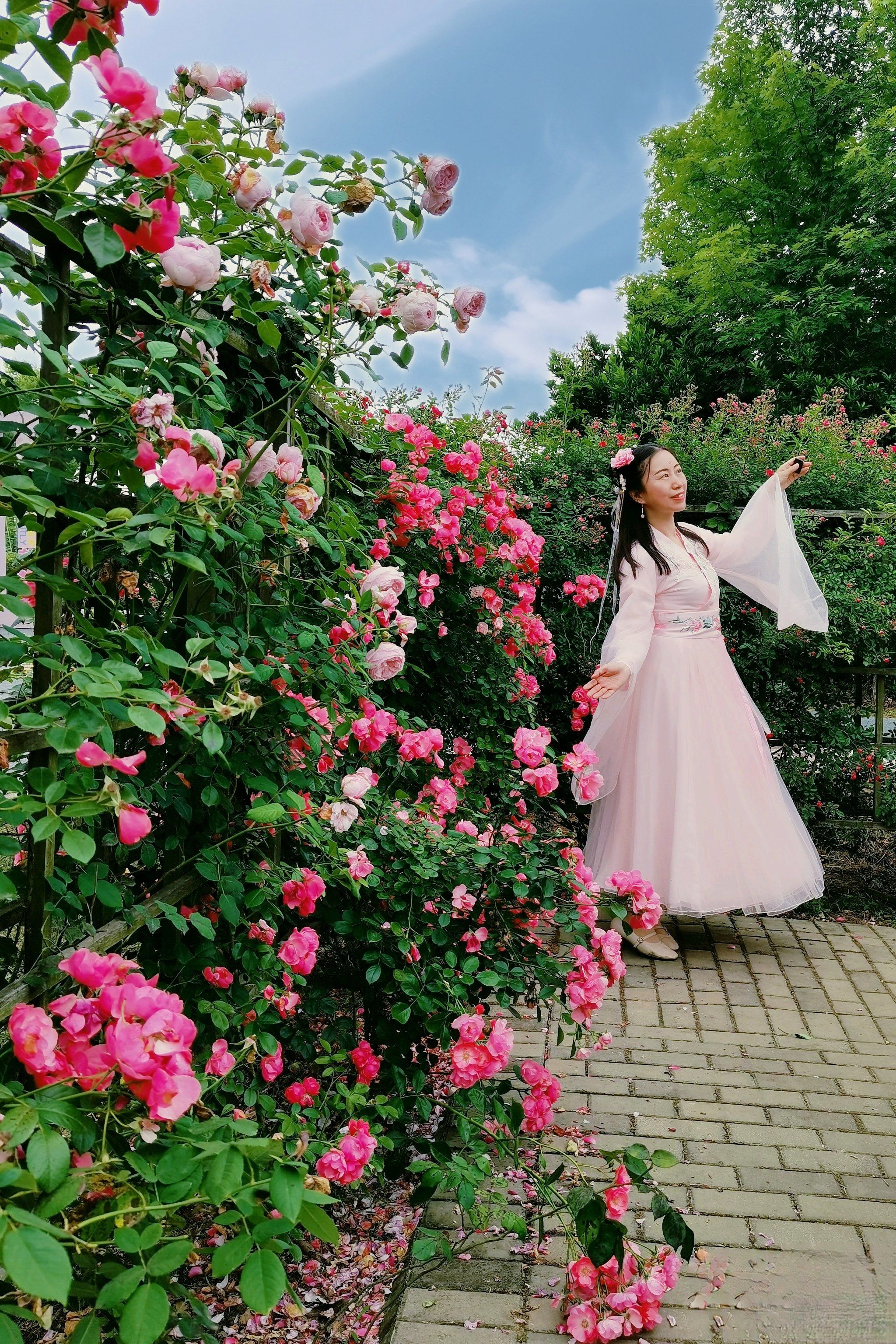 玫瑰花海,我在等你