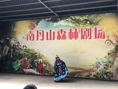 -南丹山森林王国