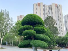 -太阳宫公园