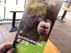 -鸡鸣汤包(红山动物园店)