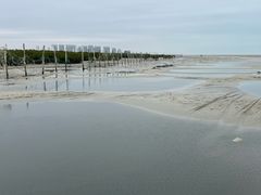 -北海金海湾红树林生态旅游区