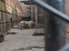 -哈尔滨北方森林动物园