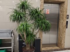 -正宗鸡饭粤香酒家(朱村店)