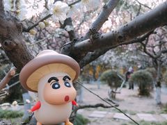 -莘庄公园